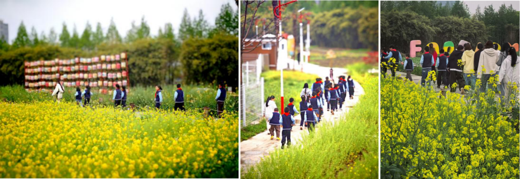 草木有约，美丽同行｜苏州健雄职...
